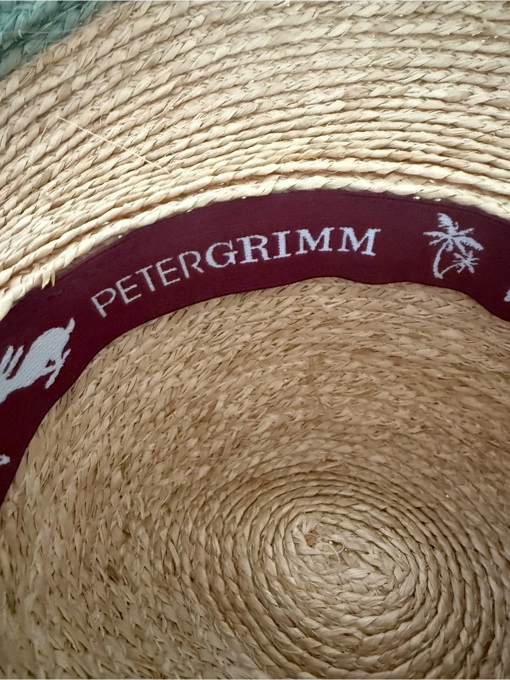 VIDA Natural Straw Hat with Sage Trim